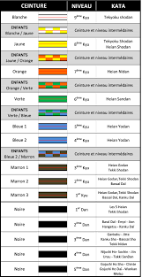 تزود بالنيابة عن ديمبسي ضخم غير القابل للصدأ برنامج couleur ceintures karaté  - greenjuiceandyogapants.com