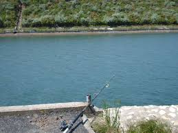 Pescuitul la marea neagră, constanța. Galerie Foto Pescuit Balta Canalul Dunare Marea Neagra Pescuit De Pescuitul Ro