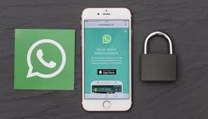 Von werbung über eine neue zahlungsmöglichkeit und veränderten datenschutzrichtlinien. Whatsapp Am Arbeitsplatz Prominenter Denn Je Trotz Hoher Aufwande It Daily Net
