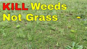 Because all types of vinegar are nonselective, any solution has the potential to harm. How To Kill Weeds In Your Lawn Without Killing The Grass Youtube