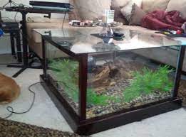 Diy Aquarium Coffee Table Aquarium Coffee Table Fish Tank Coffee Table Diy Fish Tank