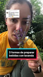 Limonada Te Verde Frutilla