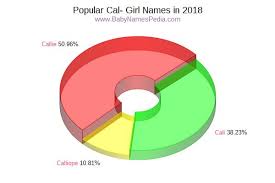 Celebrity baby names starting with c. What Girl Names Start With Ca