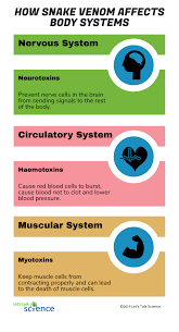 How Snake Venom Kills And Saves Lives Let S Talk Science