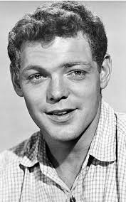 Book em, Danno!!! 💙 James MacArthur was born