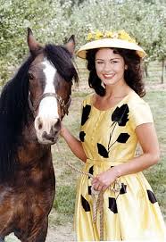 We did not find results for: Sabrina Bartlett Has Bagged Catherine Zeta Jones S Turn In The Darling Buds Of May Remake Broread Com