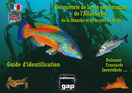 Diff?rence entre la manche et l atlantique. Guide D Identification L Atlantique La Manche Et La Mer Du Nord En 8 Plaquettes Gap Editions