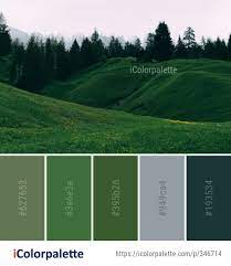 Decorate your house, flat, bedroom, kitchen, living room… Color Palette Ideas From Grassland Green Nature Image Icolorpalette