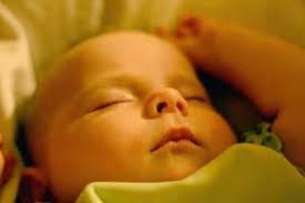 The secret life of babies