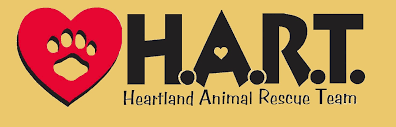 We rescue, care for, and find homes for homeless pets who arrive at ahs for various reasons, including Low Kill Pet Shelter Mn Brainerd Animal Rescue Hart