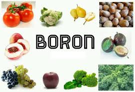 It usually does not occur alone, but is often found in the environment combined with other substances to form compounds called borates. Food For Life Natural Sources Of Boron