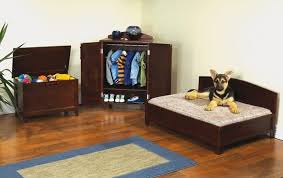 Turn your closet into a dog room. Small Closet Turned Bedroom For Pet Dog Your Projects Obn