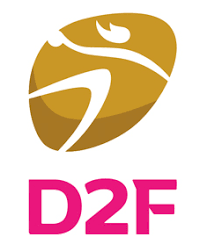 Federation francaise de football >. Championnat De France Feminin De Handball De Deuxieme Division Wikipedia