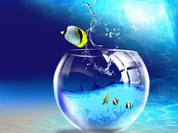 We did not find results for: Animated Desktop Wallpapers Top Free Animated Desktop Backgrounds Wallpaperaccess