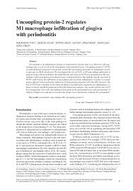 Convert euro（eur) to japanese yen (jpy) at the current exchange rate. Pdf Uncoupling Protein 2 Regulates M1 Macrophage Infiltration Of Gingiva With Periodontitis