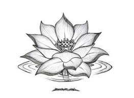 Best Flowers Drawing Tumblr Ideas Lotus Flower Drawing Pencil Drawings Of Flowers Flower Drawing