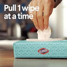The reason clorox brand is different imo is that they have a seal under. Home Kitchen Clorox Disinfecting Wipes Value Pack 75 Count Each Pack Of 3 Bleach Free Cleaning Wipes Cleaning Supplies