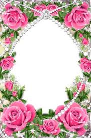 Transparent Delicate Frame With Pink Roses Flower Frame Rose Frame Flower Background Wallpaper