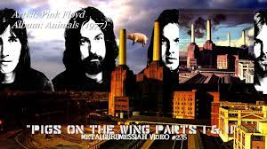 If Someone Were To Ask Me When Do You Think You And Her Will Ever Get Together I Would Realistically Respond When Pig Pink Floyd Guitar Solo Concept Album