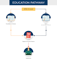 This research postgraduate program equips graduates with advanced knowledge of research methods and. Forensic Science Courses In Malaysia Eduadvisor