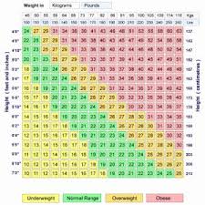 14 bmi chart bmi formula chart in kg bedowntowndaytona com