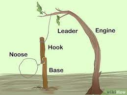 Now just find a small game trail and. 3 Ways To Make A Trap Wikihow