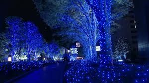 Christmas Hd Wallpaper 1920x1080 Id 11816 Wallpapervortex Com We offer an extraordinary number of hd images that will instantly freshen up your smartphone. christmas hd wallpaper 1920x1080 id