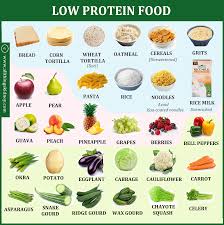 Playlist containing all my low protein recipes and food related vlogs. Kidney Safe Low Protein Food Low Protein Foods Ckd Diet Protein Meats