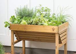 How to start a raised herb garden. Herb Garden Growing Herbs Gardener S Supply
