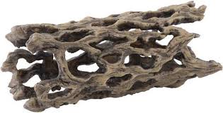 Image result for Exotheca