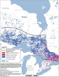 Most of the fires were. Csiro Publishing International Journal Of Wildland Fire