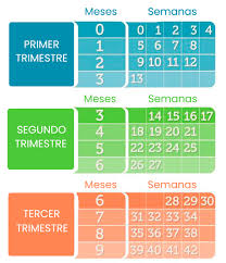 Calculadora De Embarazo Y Fecha De Parto Fecha Probable De Parto