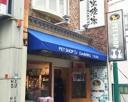 Coo&RIKU Shimokitazawa storeの画像