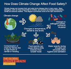 Pin On A Very Basic Idea Of Global Warming And Its Prevention