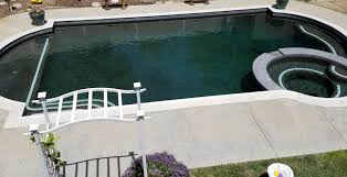 Blanche was president of the first murrieta. Pin On Pools