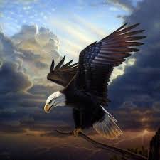 Kartal Eagle Panosundaki Pin