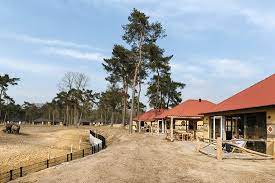 Safari resort and holiday park beekse bergen are also open. Safari Resort Beekse Bergen Bewertungen Fotos Preisvergleich Hilvarenbeek Niederlande Tripadvisor