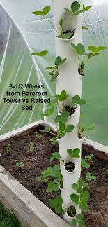 Hydroponic Tower With Net Cups Grow Vertical Gardens In 2021 Vertical Garden Planters Vertical Garden Diy Vertical Garden