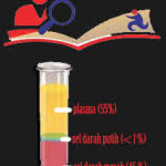 Pengertian Dan Fungsi Plasma Darah Menurut Ahli Biologi Plasma Darah Biologi Darah