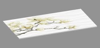 Gạch men Shijar CM36801C3 300mmx600mm