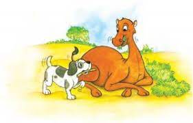 Making it's hump get smaller and smaller. How The Camel Got His Hump Summary In English Studdy