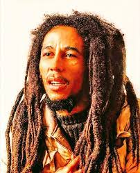 Pin By Gazjam23 On Bob Marley Bob Marley Hair Styles Dreadlocks