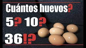 Cuantos Huevos Puedes Comer Como Maximo Youtube
