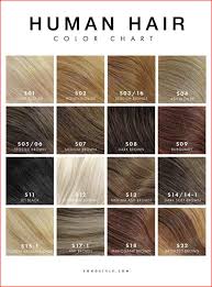 Nice And Easy Hair Color Chart 2019 Hair Color Chart Hair Dye Color Chart Loreal Hair Color Chart