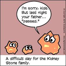 Kidney Stones You Are Goin Down Medical Humor Kidney Stones Funny Nurse Humor