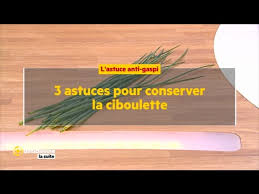 On peut par conséquent songer à la congeler. 3 Astuces Pour Conserver La Ciboulette La Quotidienne La Suite Youtube