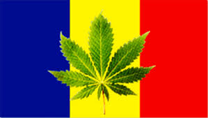 Legalizarea Marijuanei In Romania Home Facebook