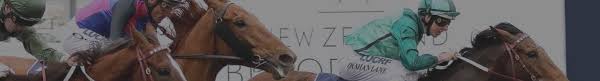 The 2021 magic millions 2yo classic. Magic Millions Classic 2021 Australia S Most Well Known Racing Hub