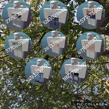 Roblox Bloxburg Clothes Codes Roblox Coding Bloxburg Decal Codes