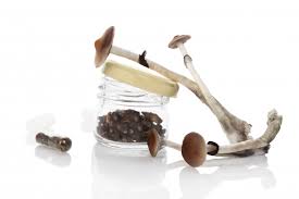 Aug 06, 2020 · how much do shrooms cost, though, really? How Much Do Shrooms Cost Archives Buy Magic Mushrooms Canada Trippy Mushrooms